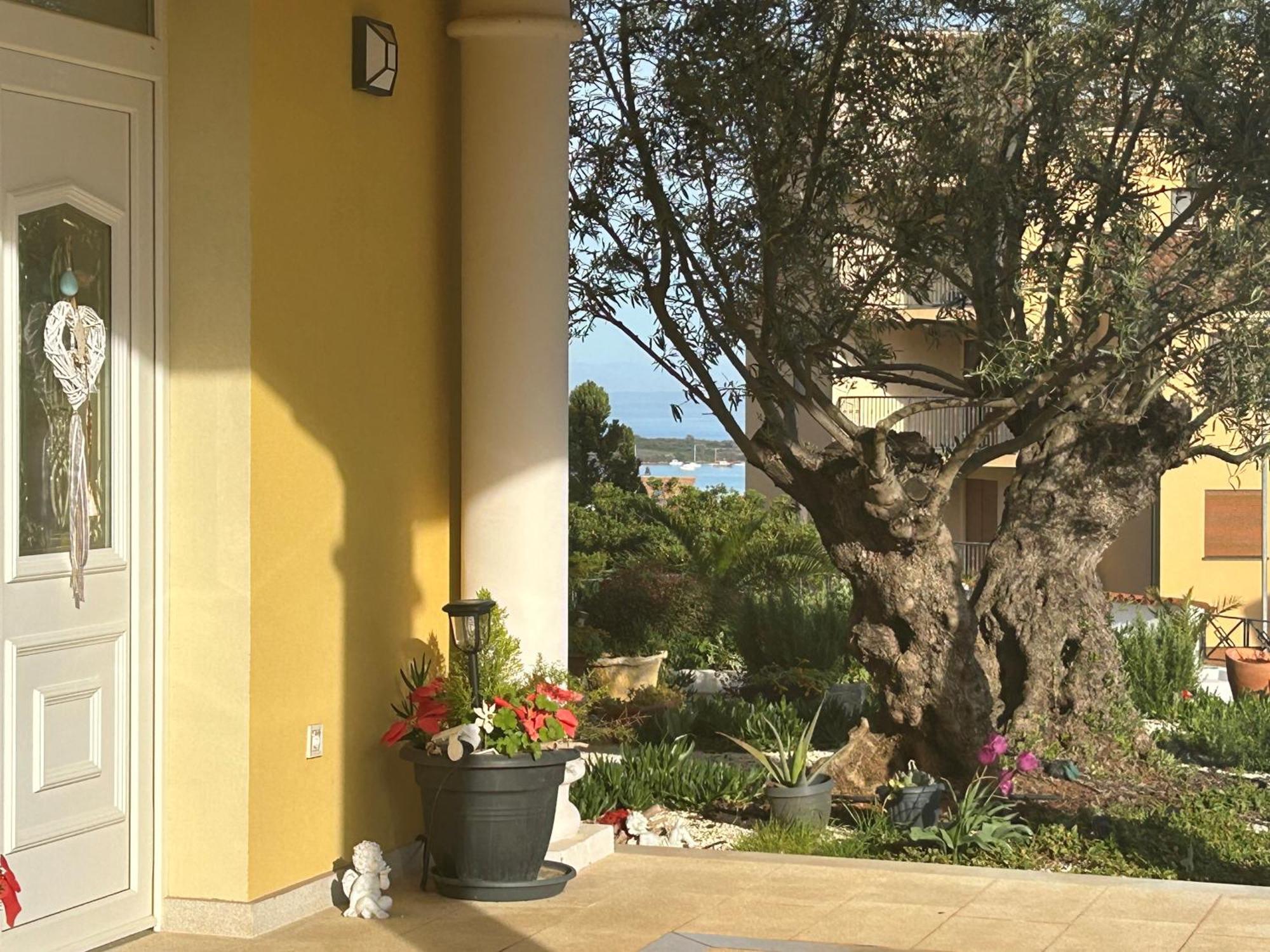 Villa Istriana Ližnjan Екстериор снимка